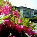 4.21i΁j i͏Nӕʏj