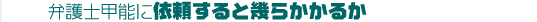 �b�\�ٌ�m�Ɉ˗�����Ɗ�炩���邩